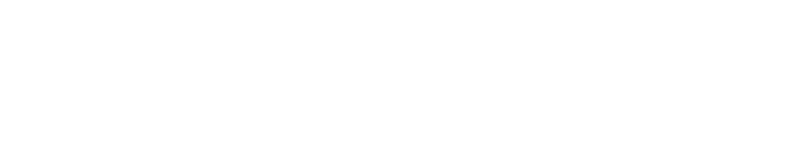 Neonexus Logo
